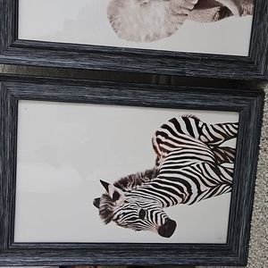 Baby animal prints and frames